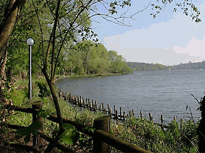 photo of the park where the company was born